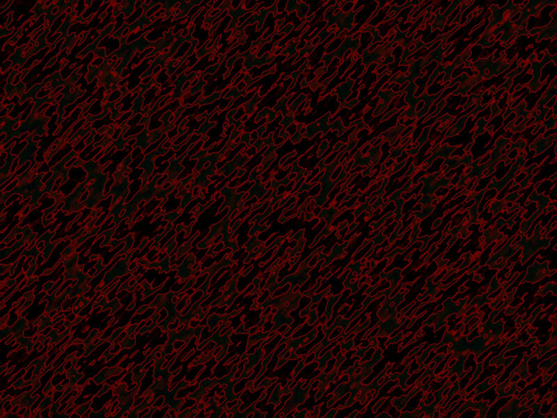 Red Abstract Pattern — Black