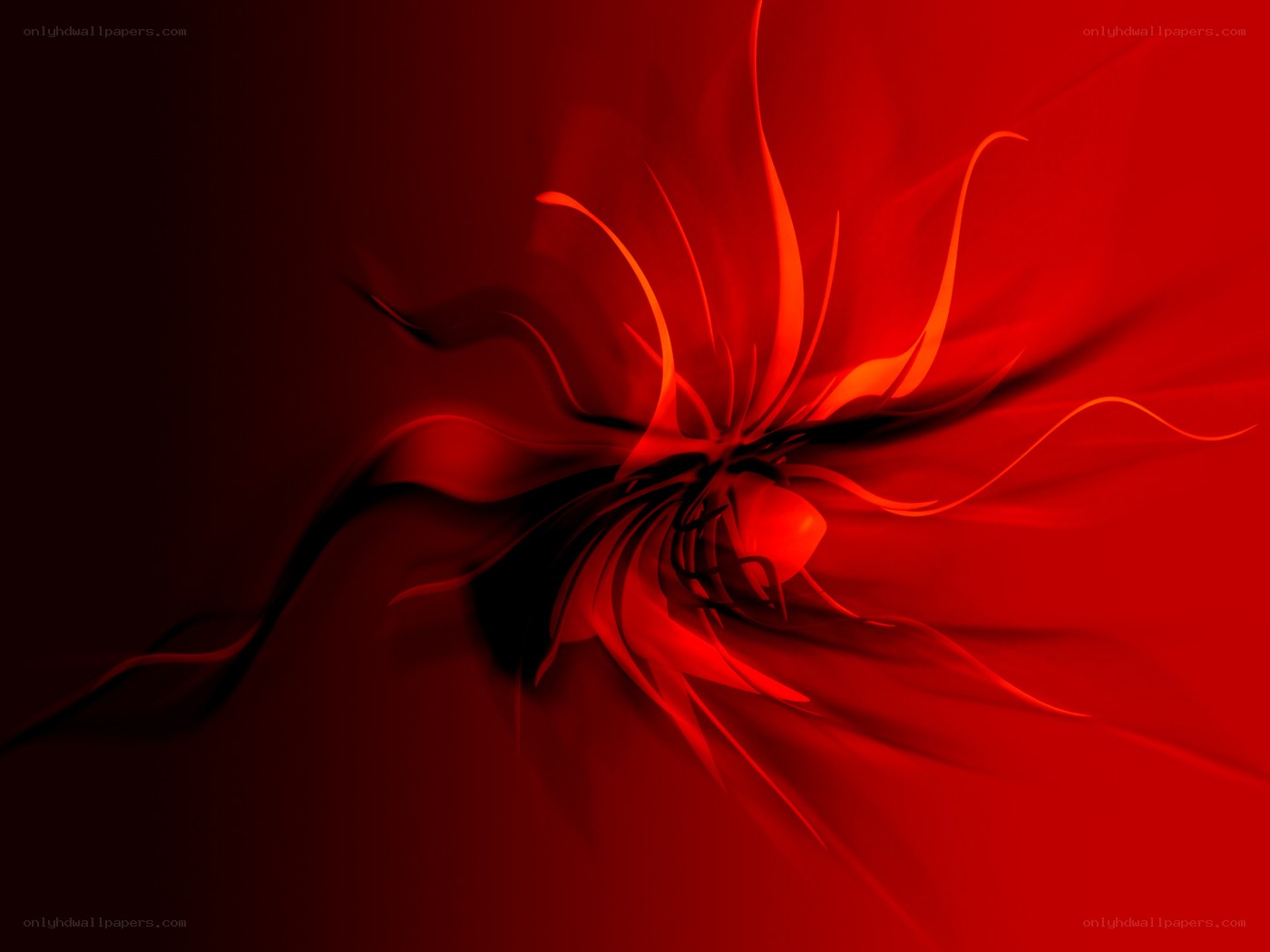 Red abstract swirl design