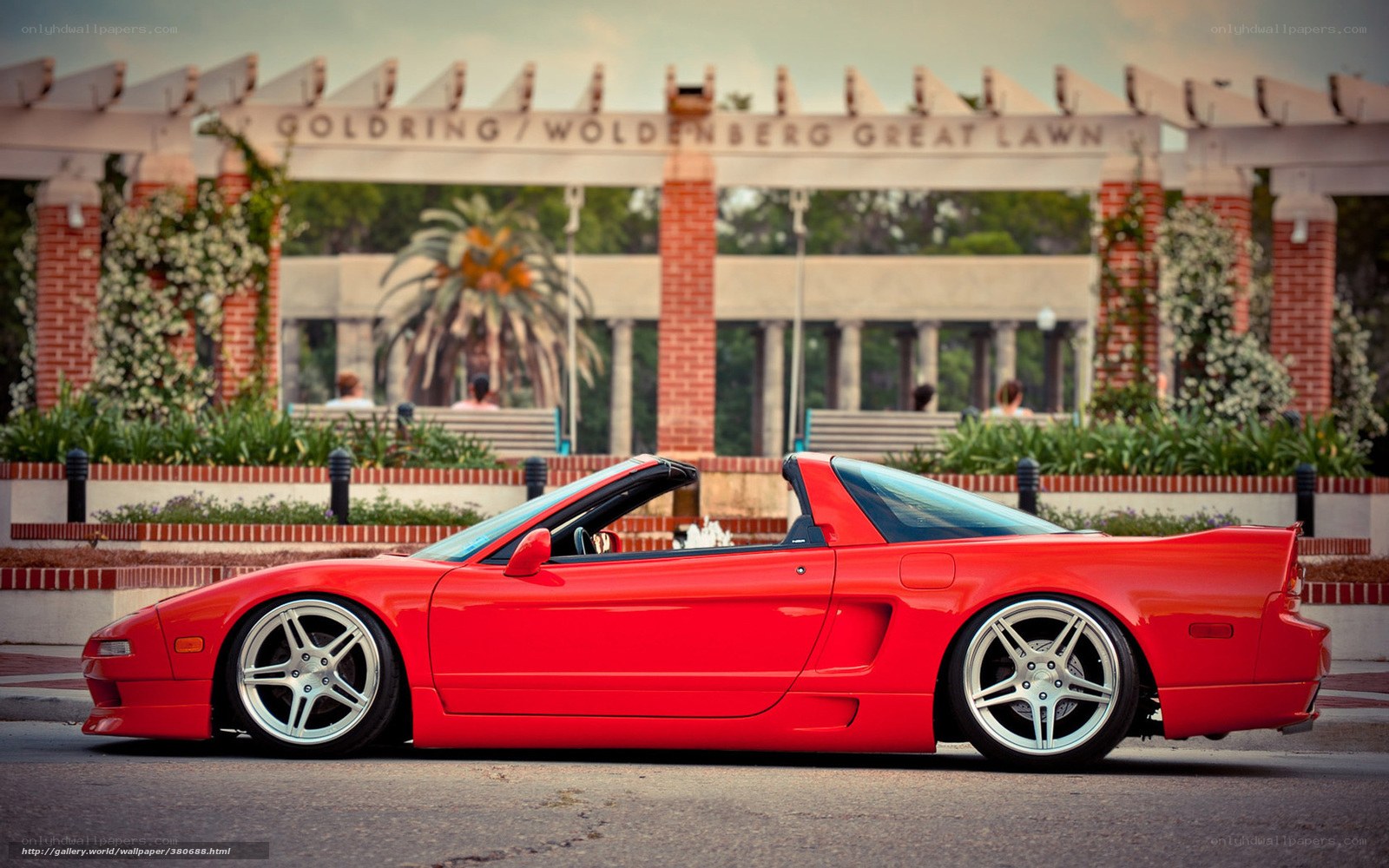 Red Acura NSX in a park