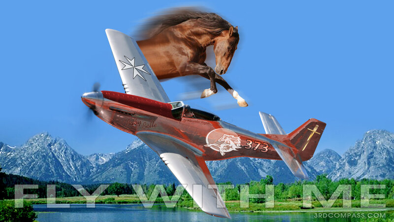 Red Airplane with Horse