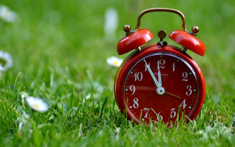 Red Alarm Clock in Grass