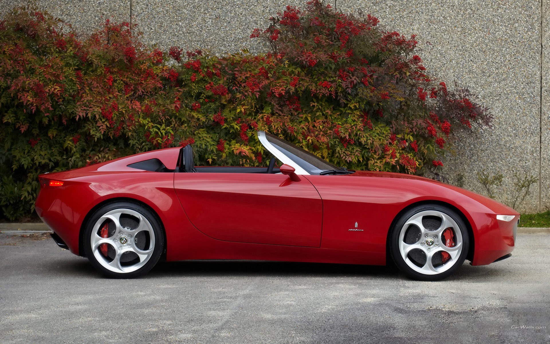 red alfa romeo spider concept