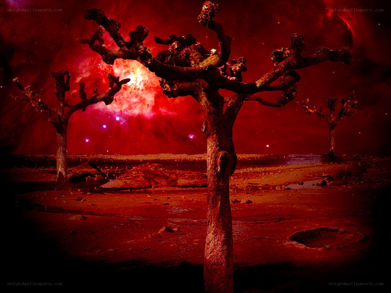 Red alien landscape with dead trees