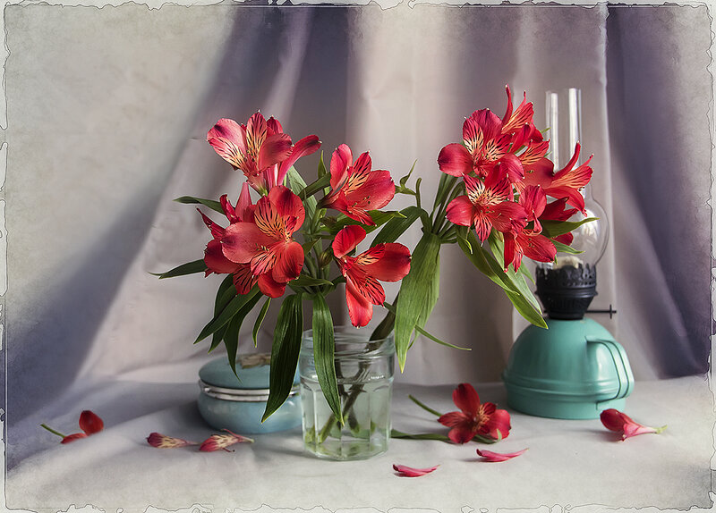 Red Alstroemeria Flowers — Serene