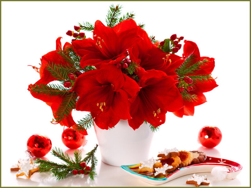 Red Amaryllis Bouquet