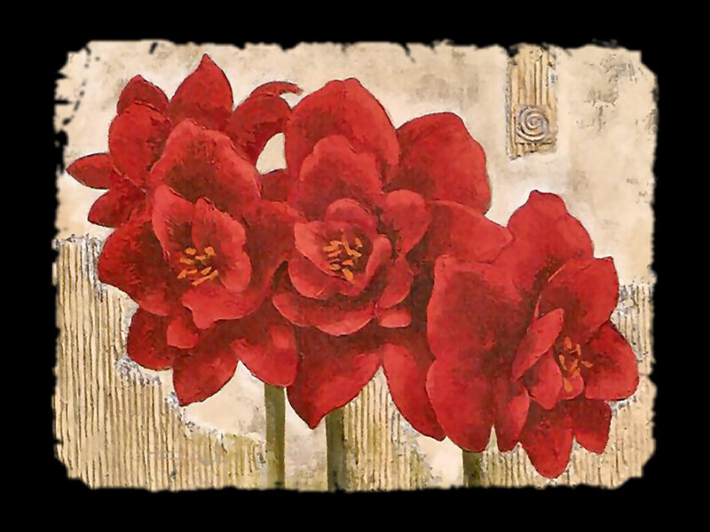 Red Amaryllis Flowers — Calm, Painting