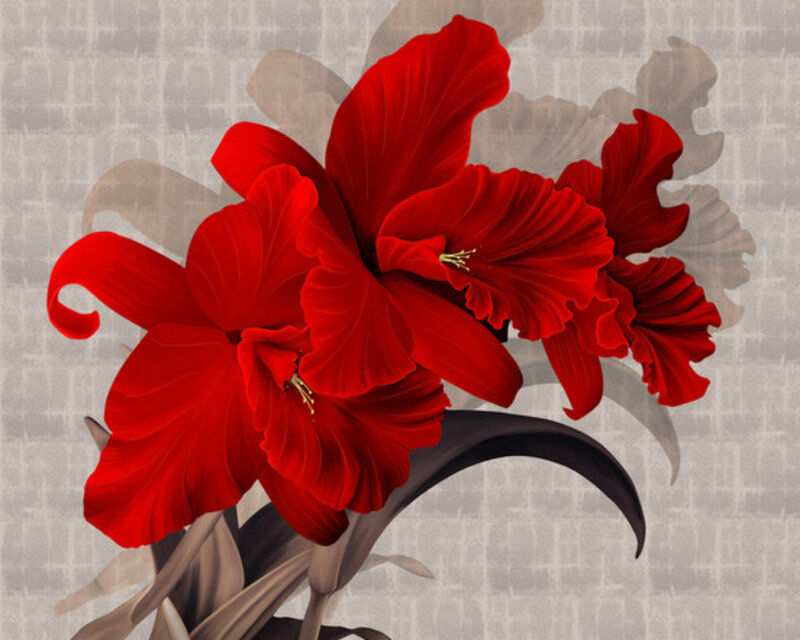 Red Amaryllis Flowers — Dramatic, Digital Art