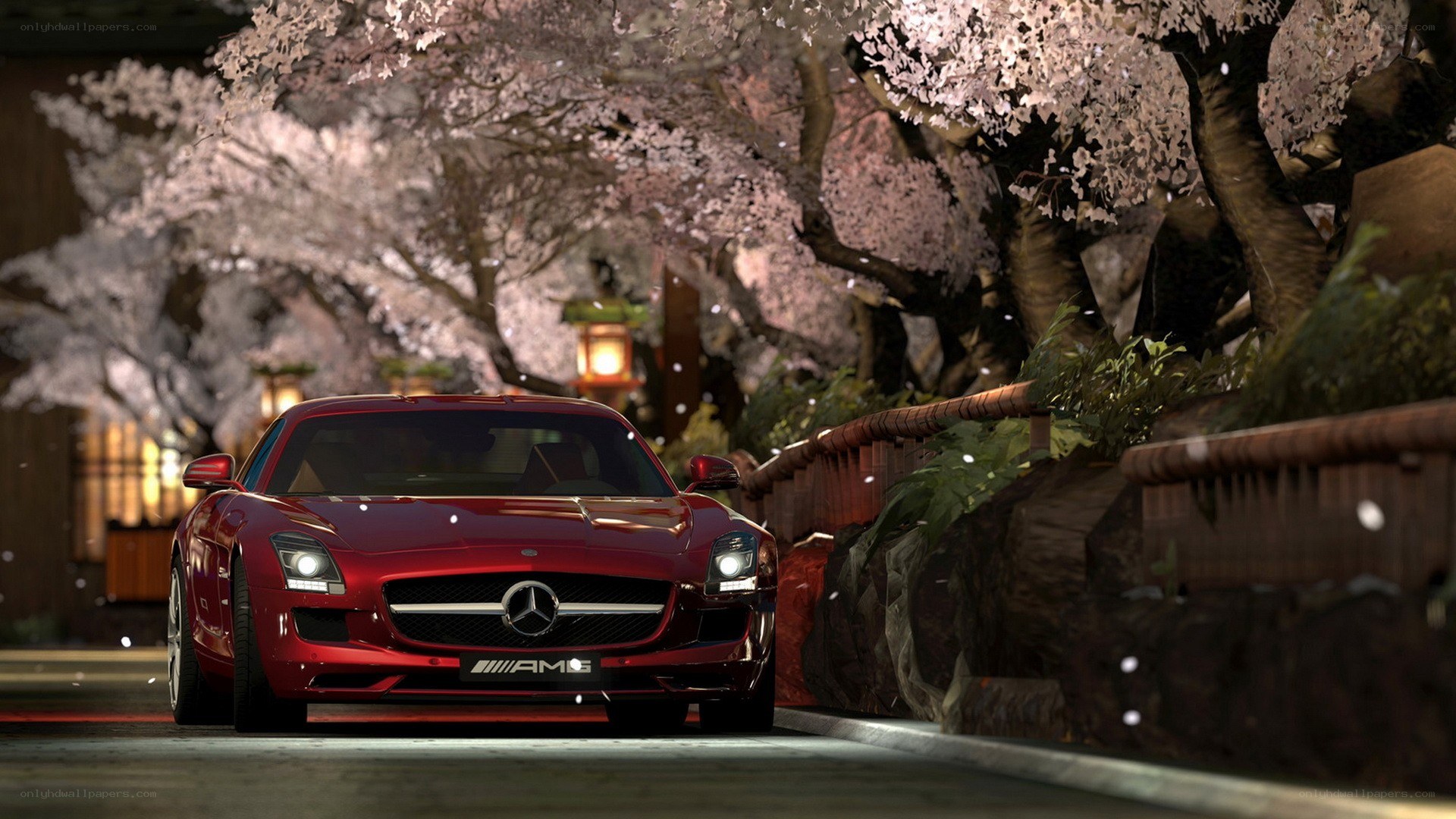Red AMG car under cherry blossoms