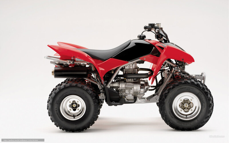 Red and Black Atv — Neutral, Photograph, Seat