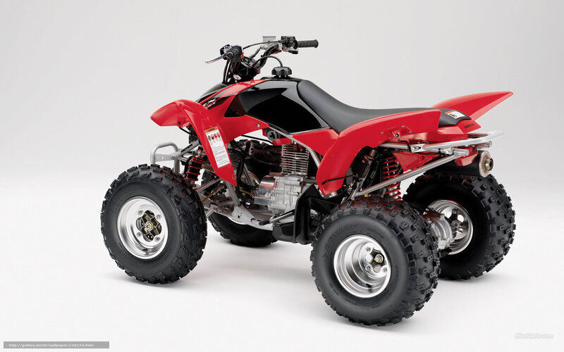 Red and Black Atv — Neutral, Photograph