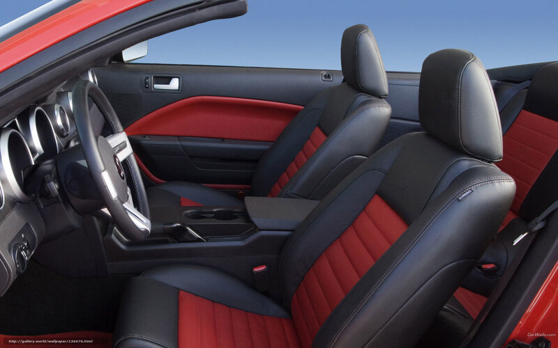 Red and Black Car Seats — Clean, Modern