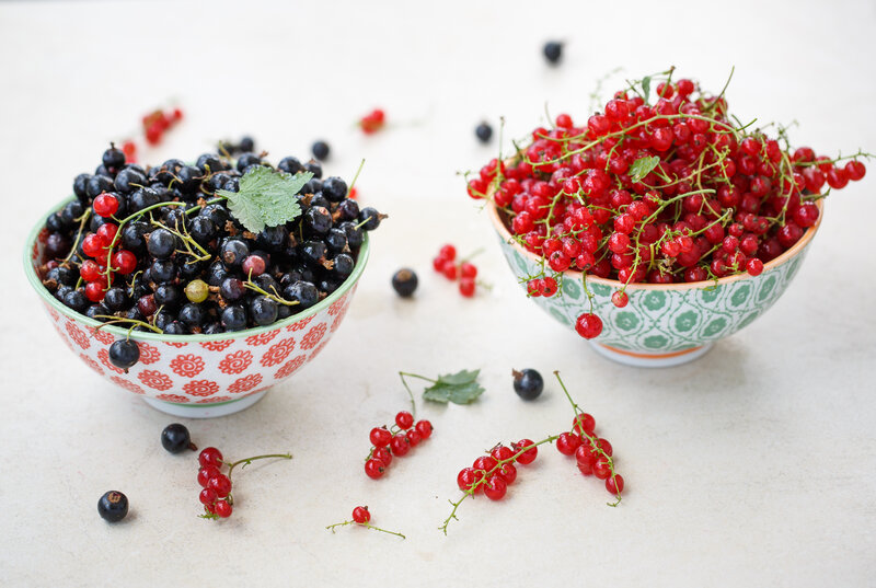 Red and Black Currants
