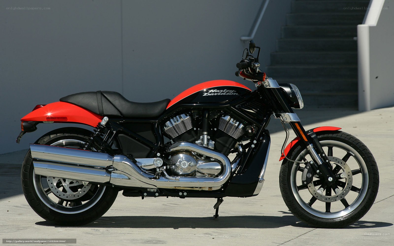 red and black harley motorcycle