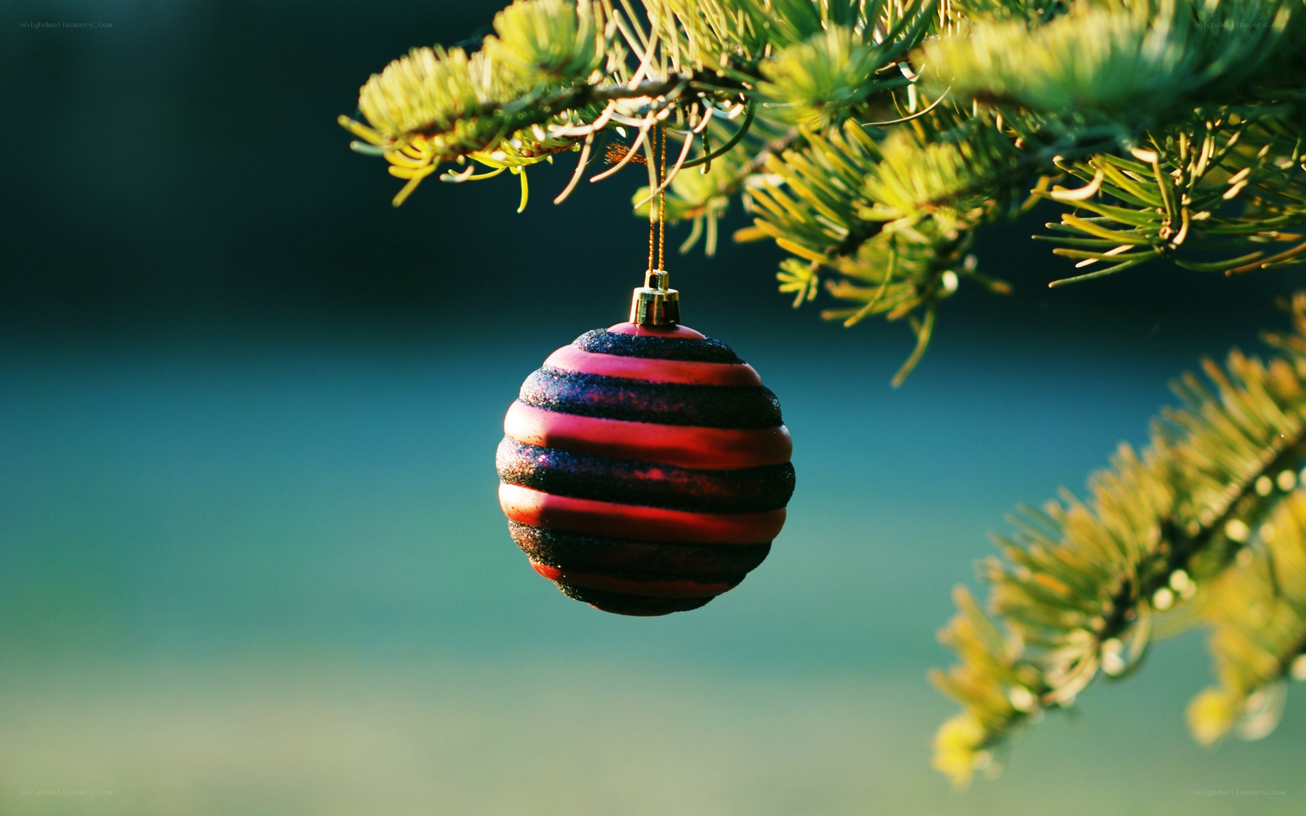 Red and black ornament on tree