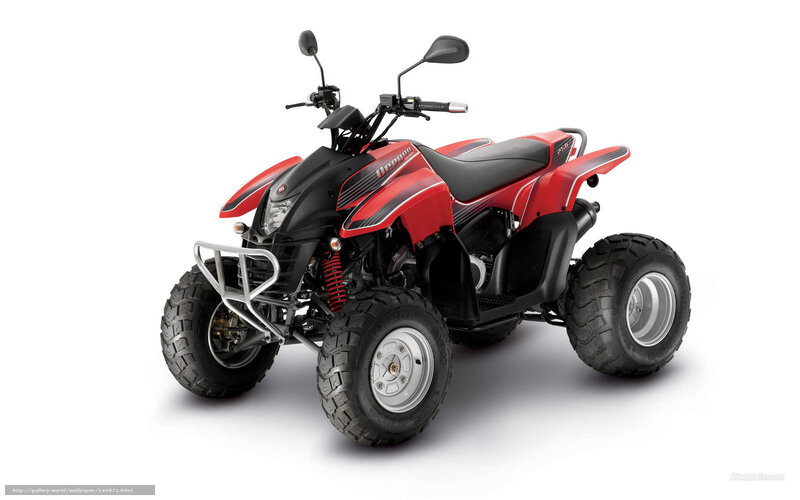 Red and Black Quad Bike — Neutral