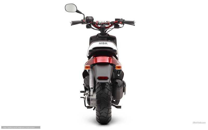 Red and Black Scooter — White