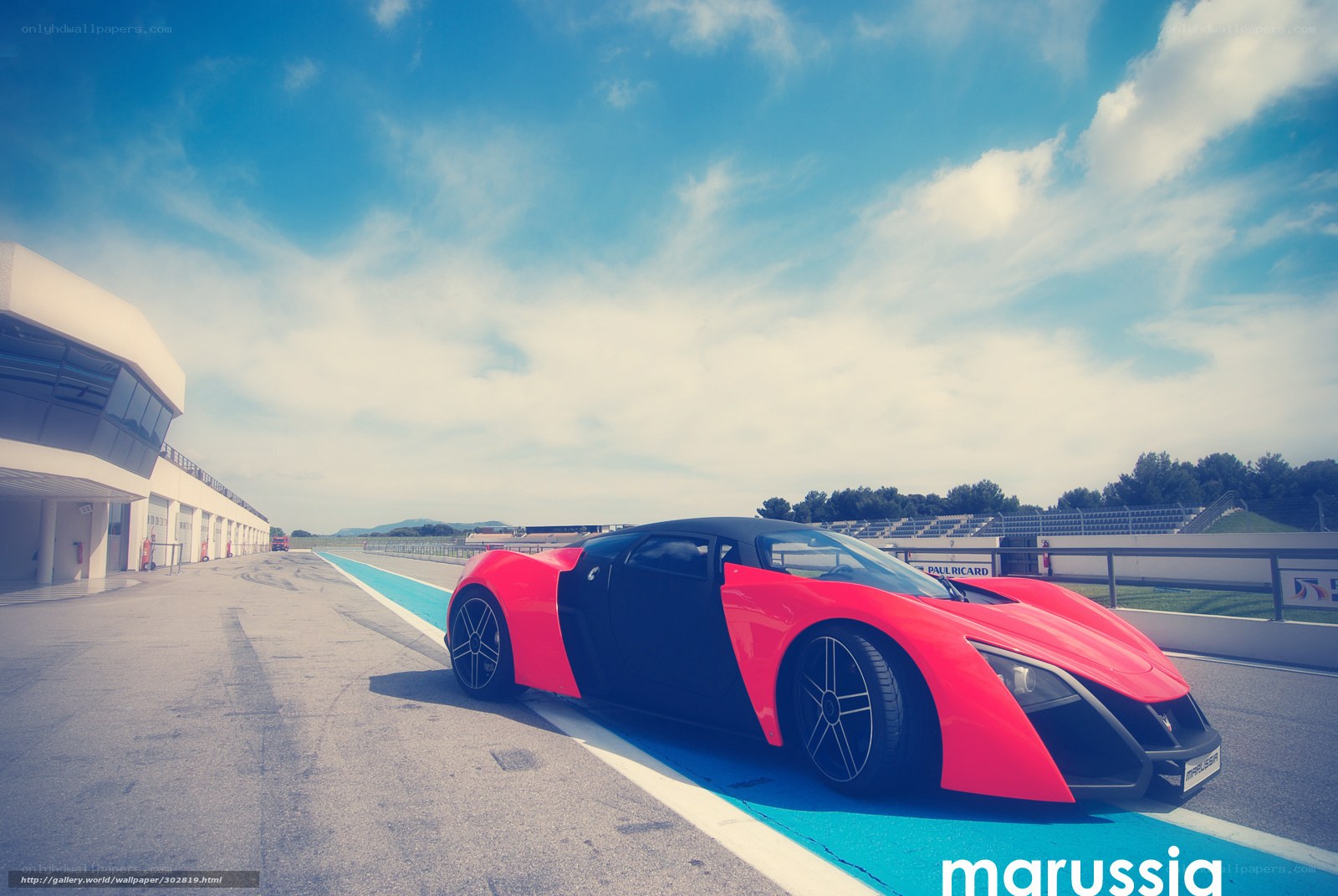 Red and black sports car on track