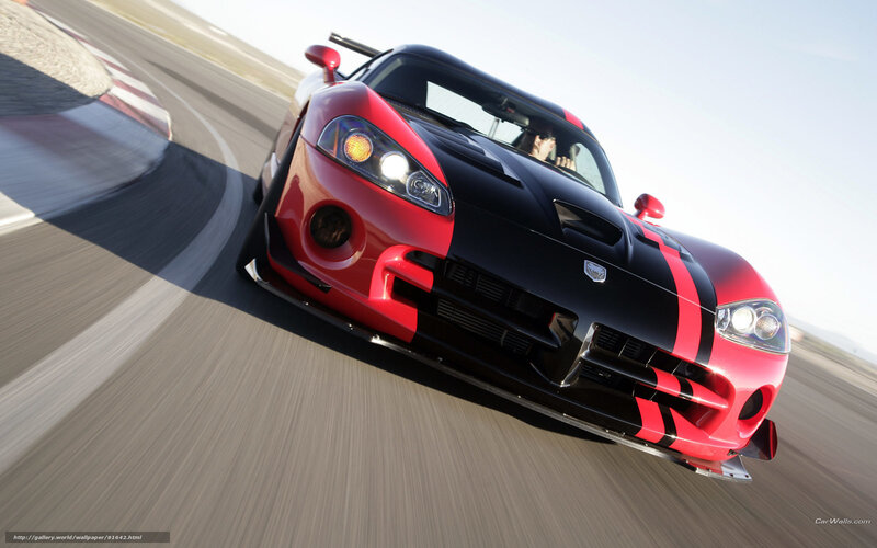 red and black sports car on track