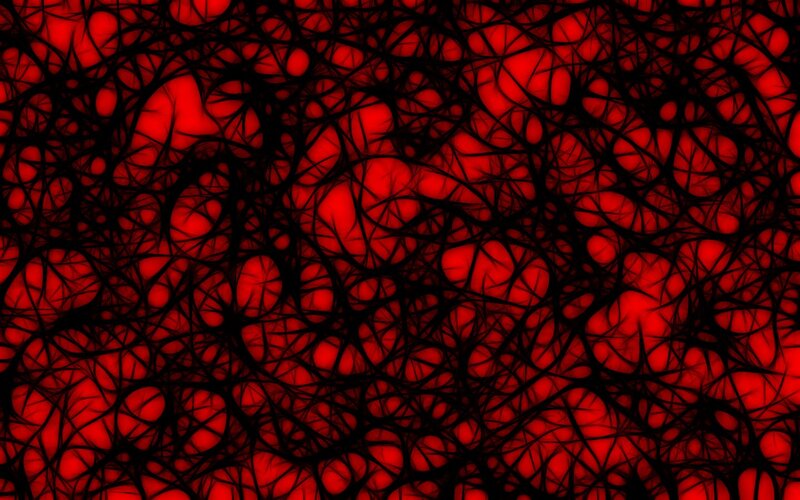 Red and Black Web Pattern