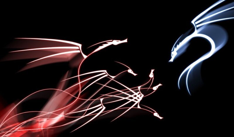 Red and blue dragons in motion