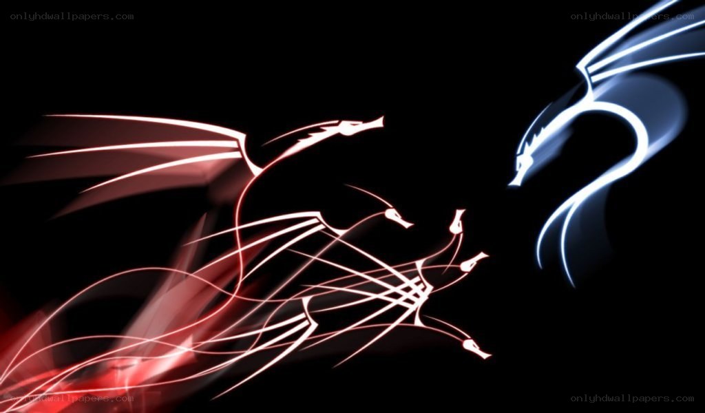 Red and blue dragons in motion