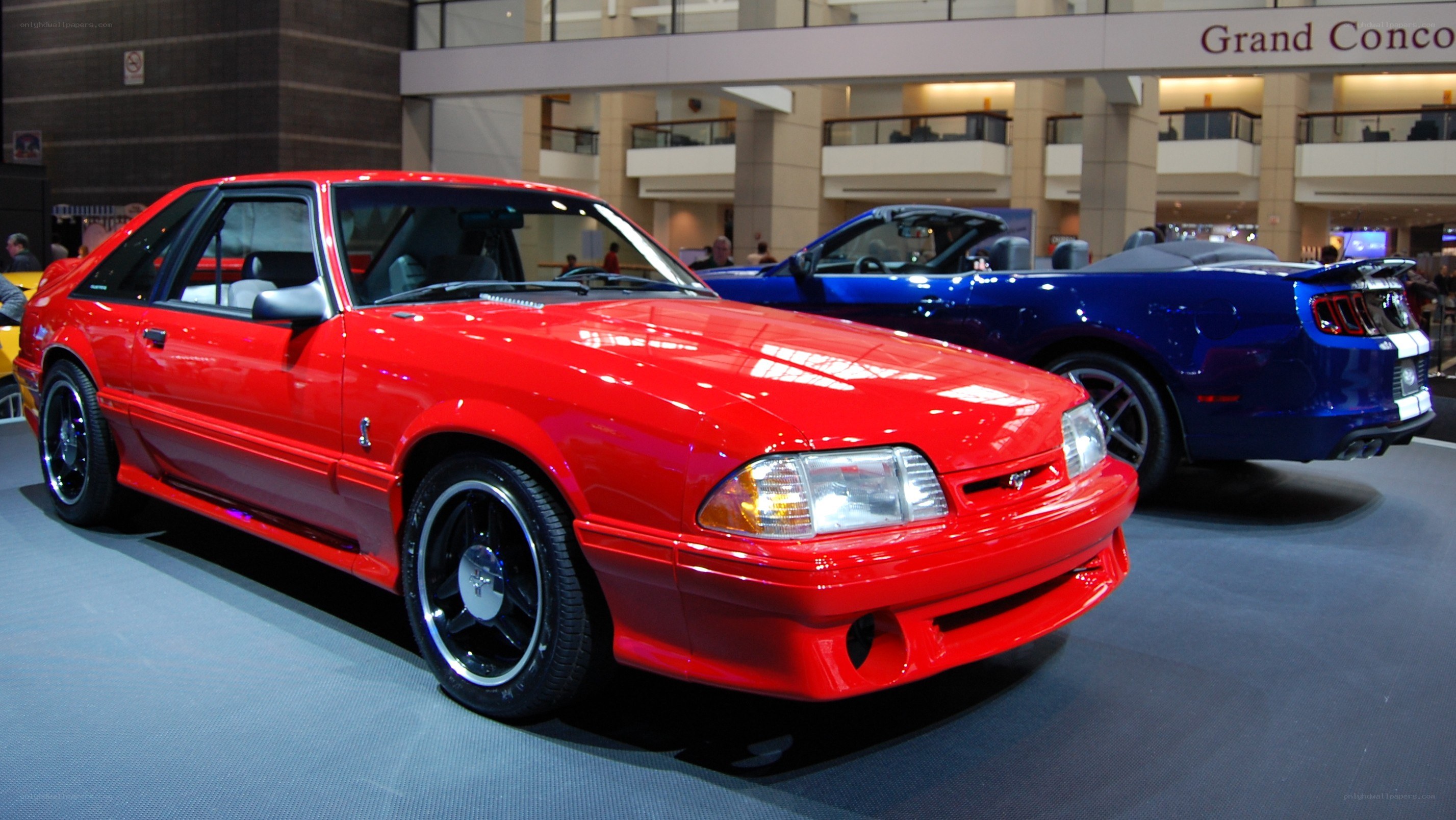 Red and blue Ford Mustangs on display