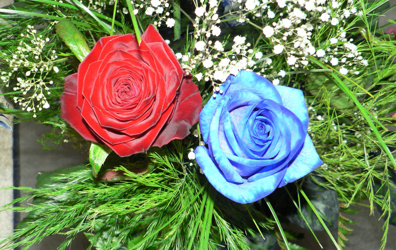 Red and blue roses in bouquet