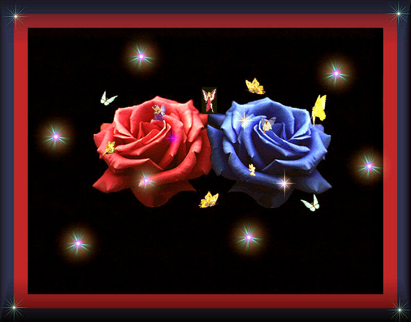 Red and Blue Roses — Magical, Night