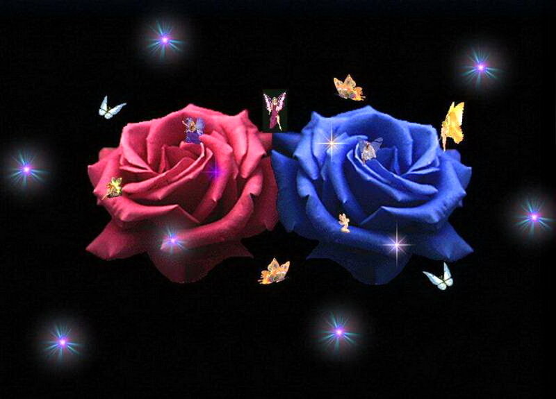 Red and Blue Roses — Magical
