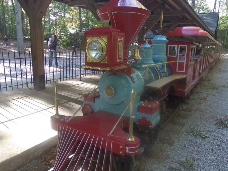 Red and Blue Train