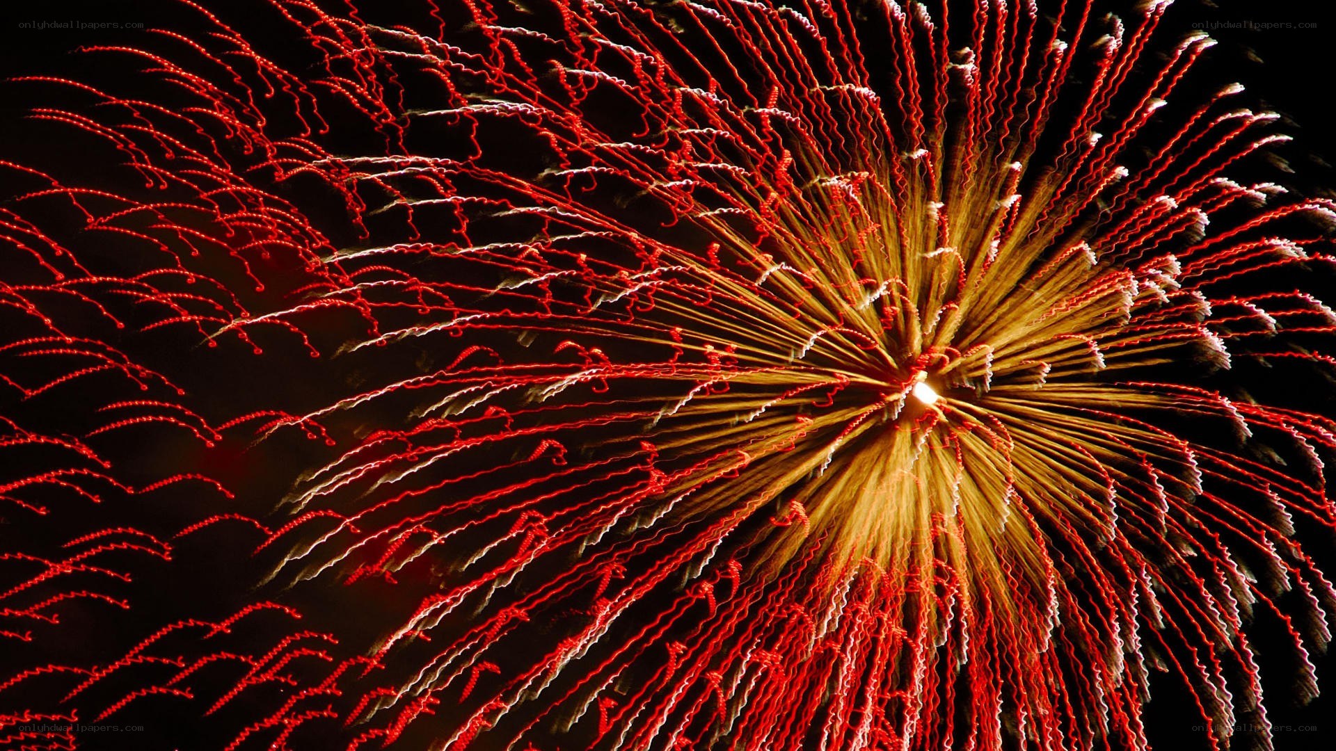 Red and gold fireworks display