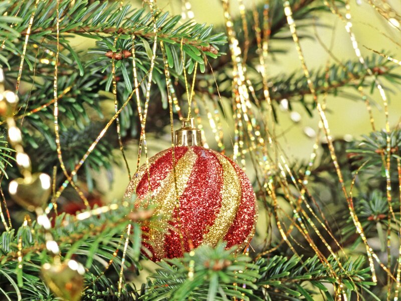 Red and gold ornament on tree