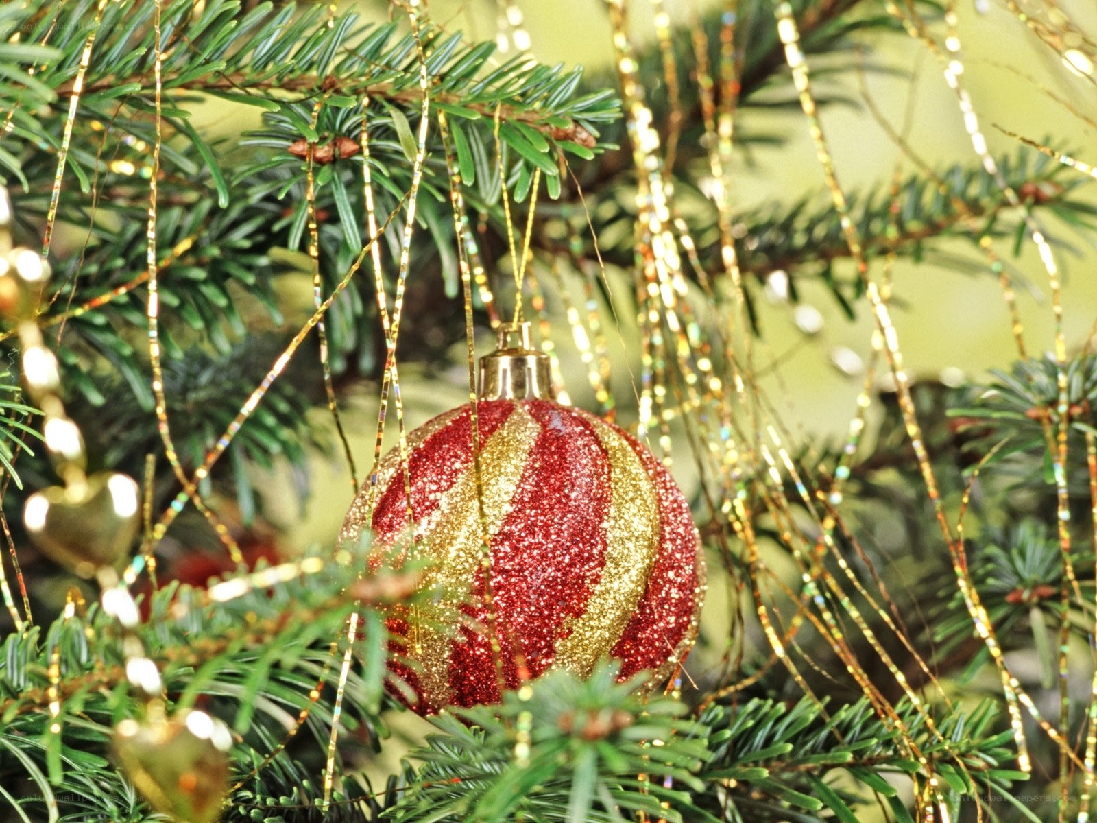 red and gold ornament on tree