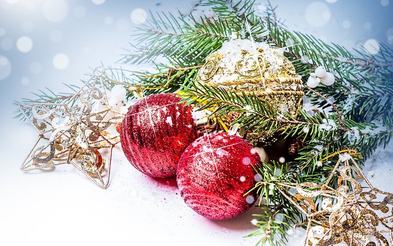 Red and Gold Ornaments — Festive, Winter, Photograph, Pine Branches