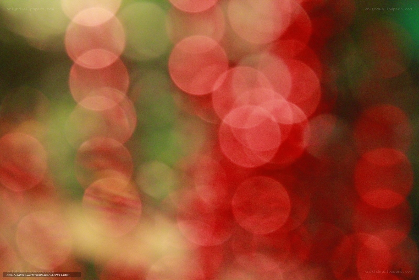 red and green bokeh lights