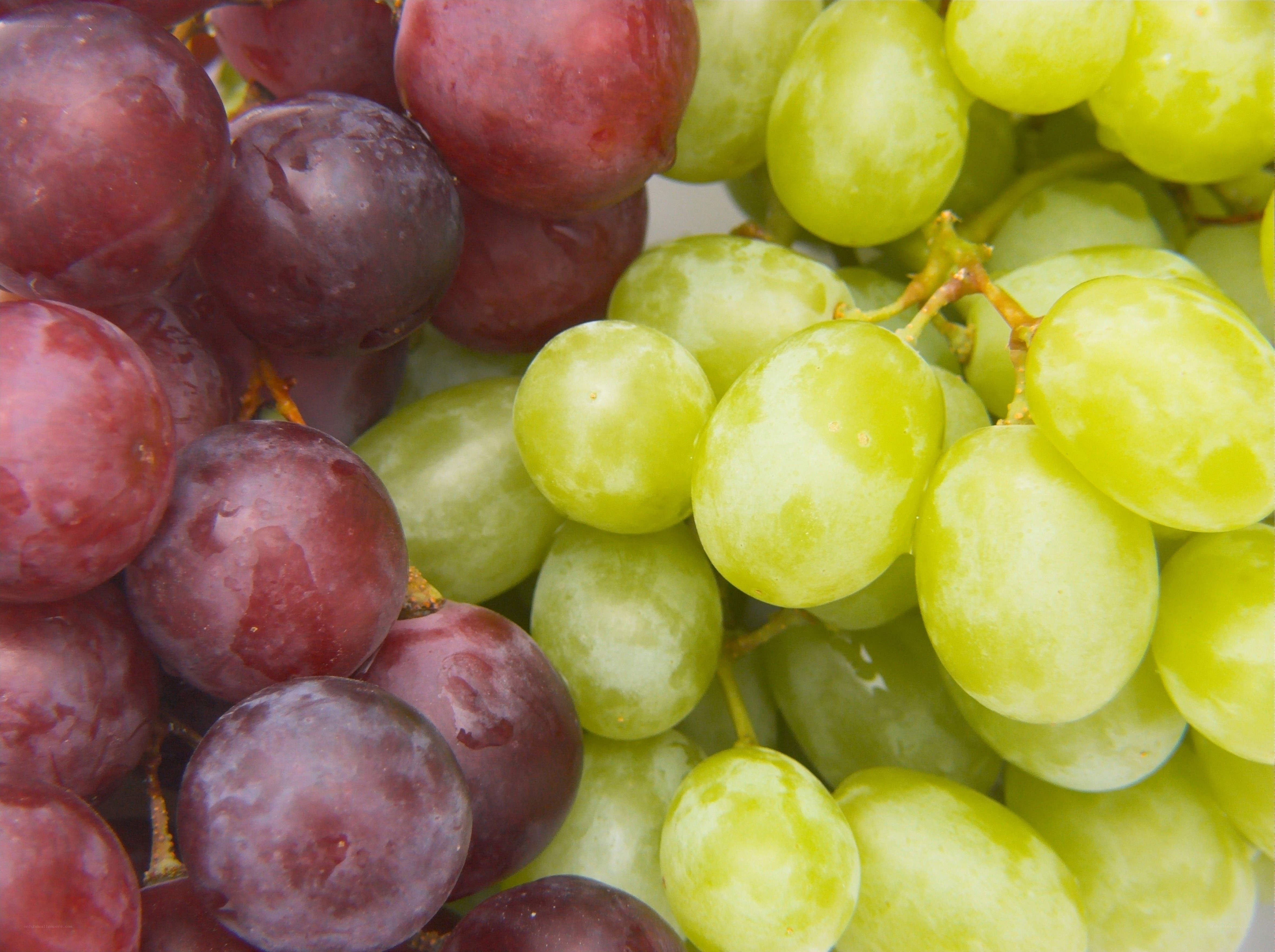 red and green grapes