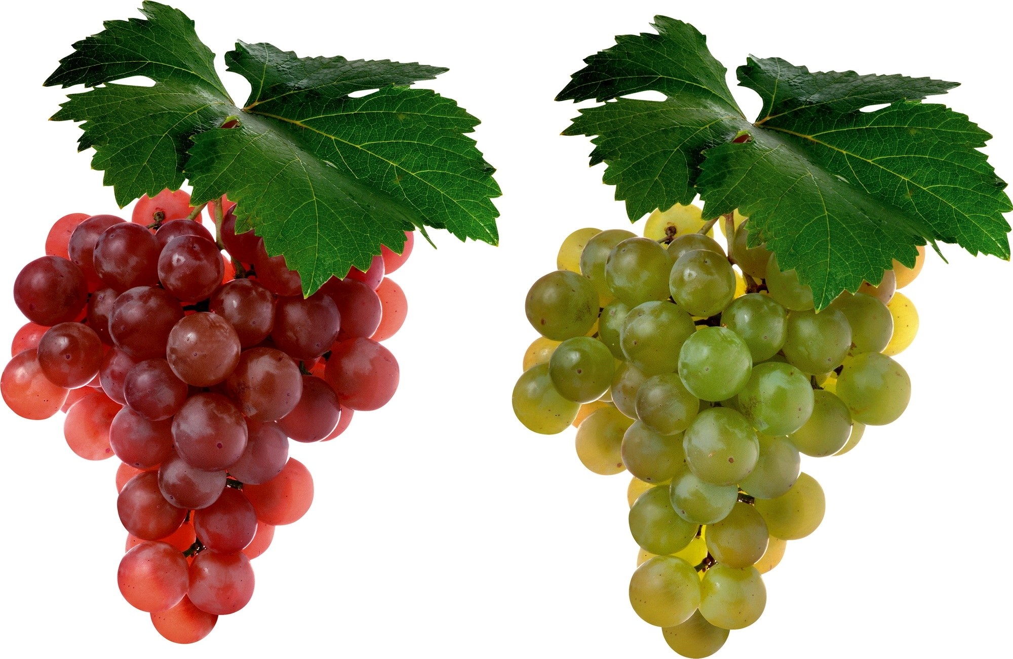 red and green grapes