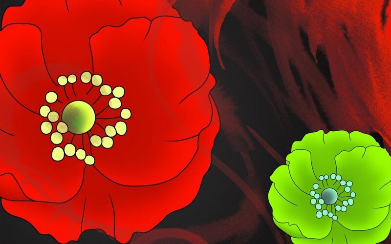 Red and green poppy flowers