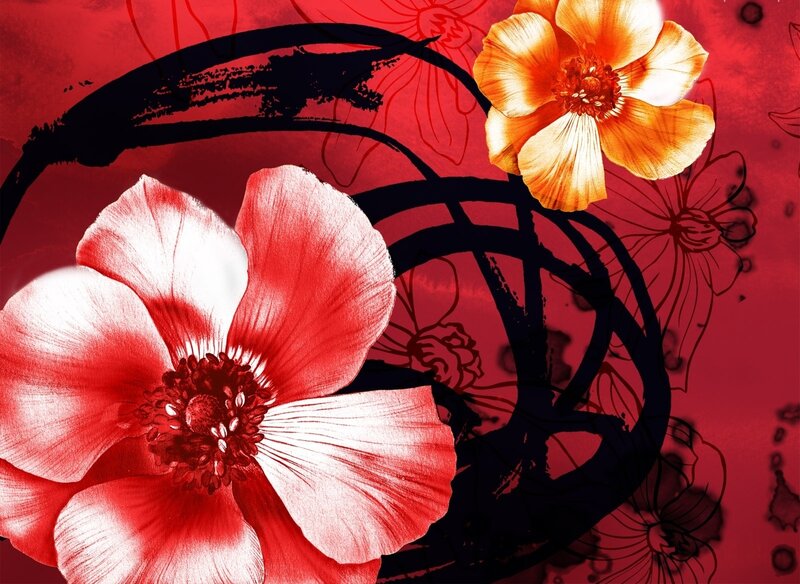 Red and Orange Flowers — Dramatic