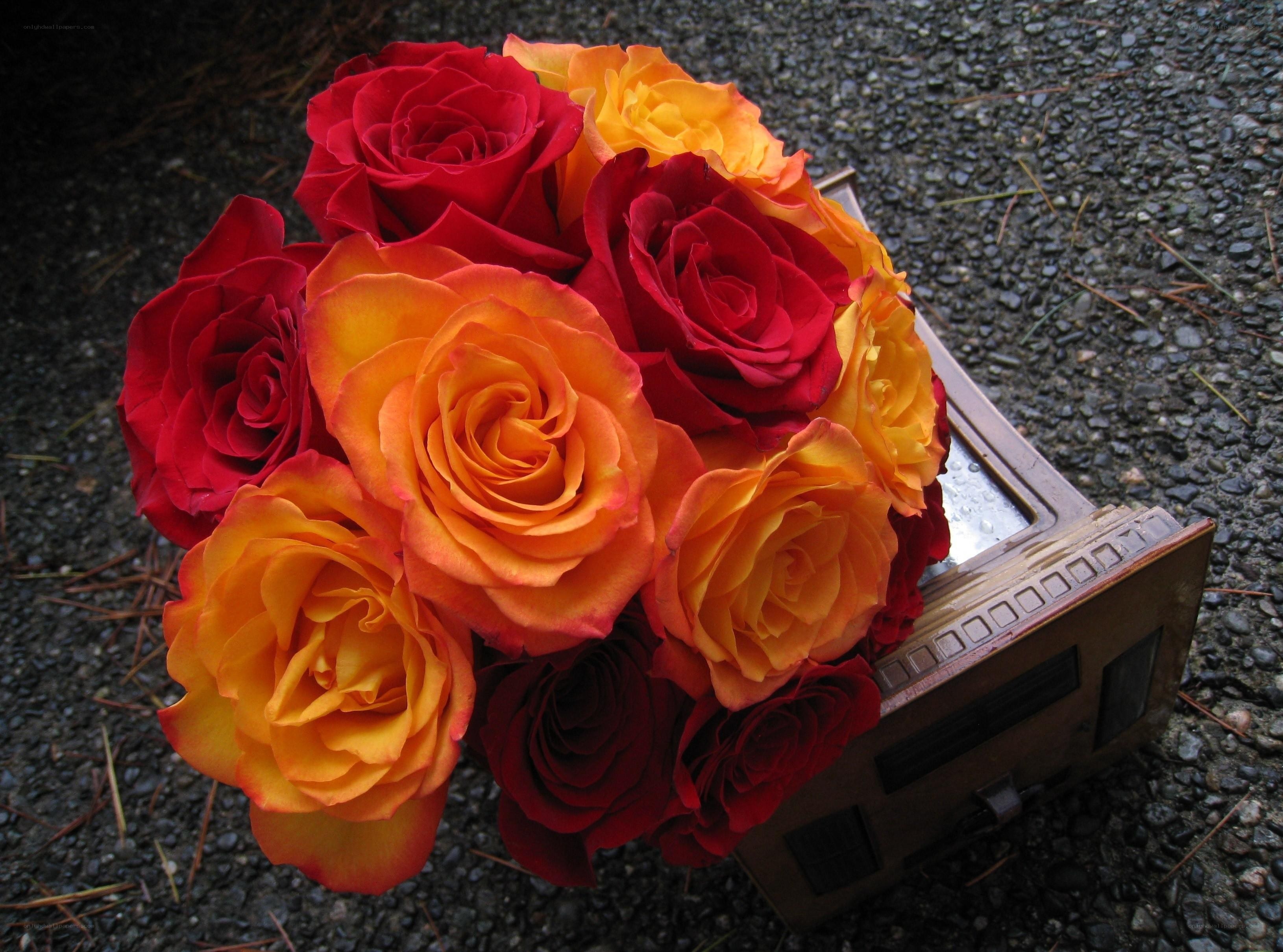 Red and orange rose bouquet