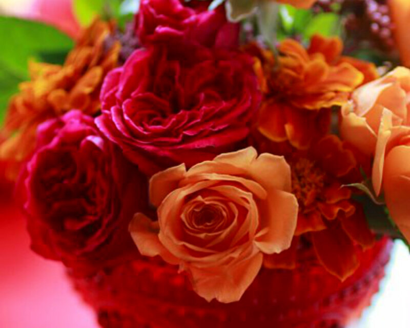 Red and Orange Roses — Warm
