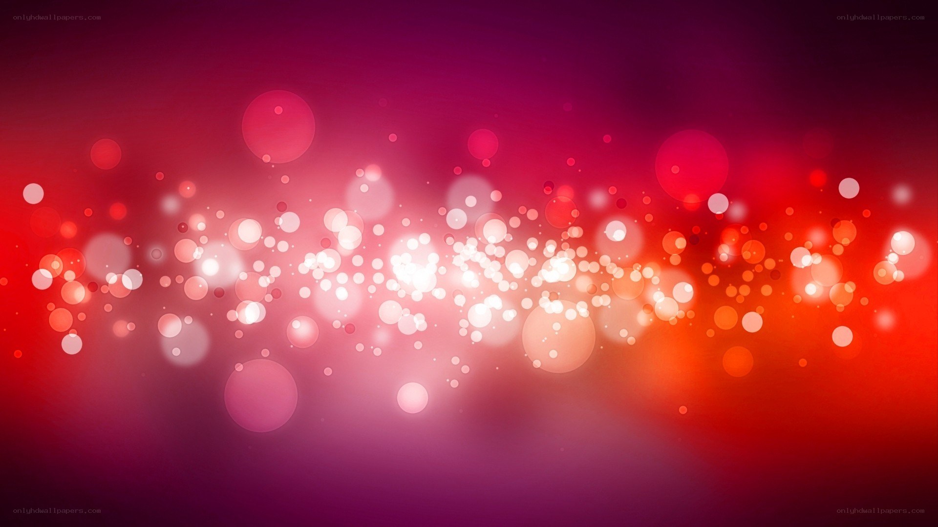 red and pink bokeh lights