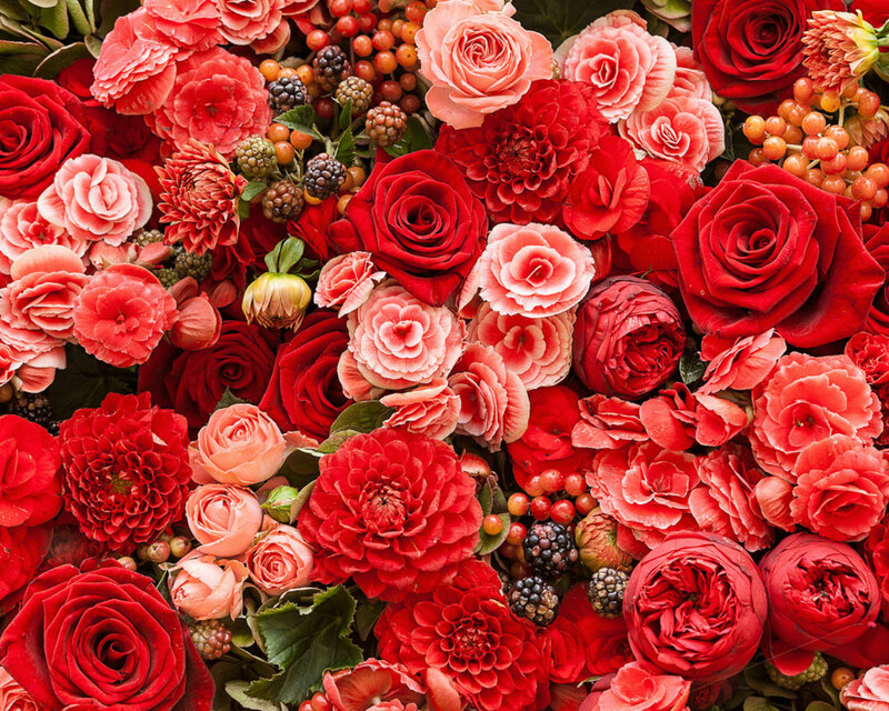 Red and Pink Flower Bouquet — Vibrant