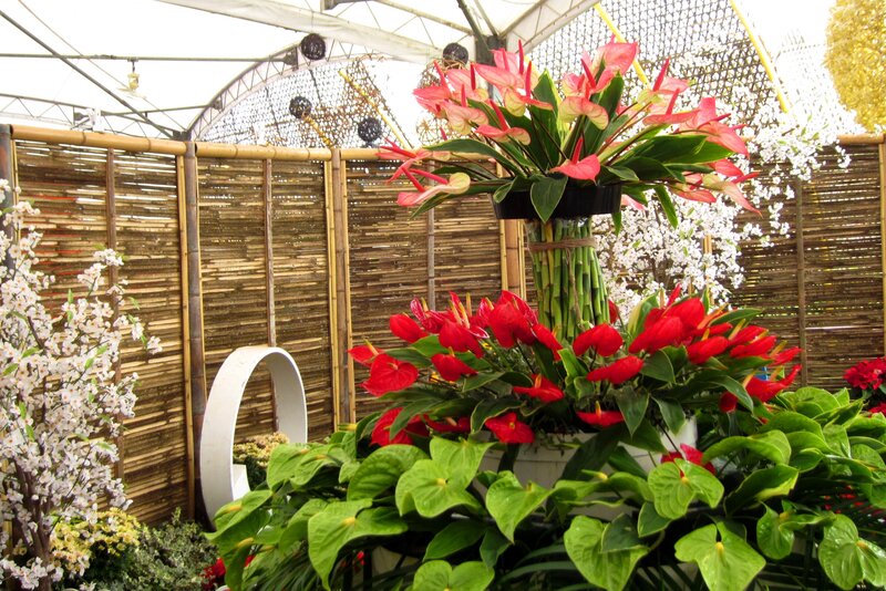 Red and Pink Flowers — Calm