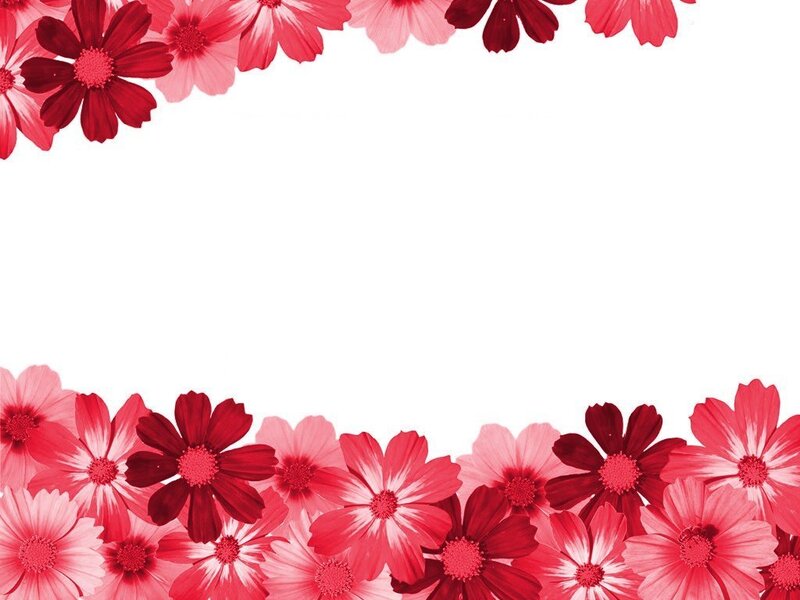 Red and Pink Flowers