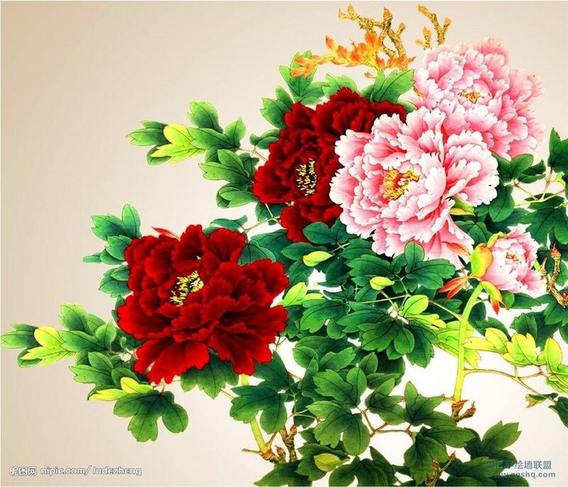 Red and Pink Peonies — Calm