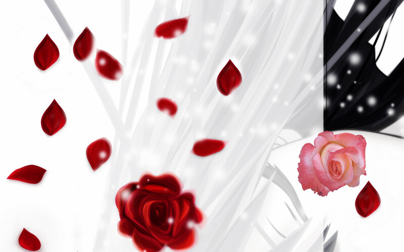 Red and Pink Roses — Dramatic