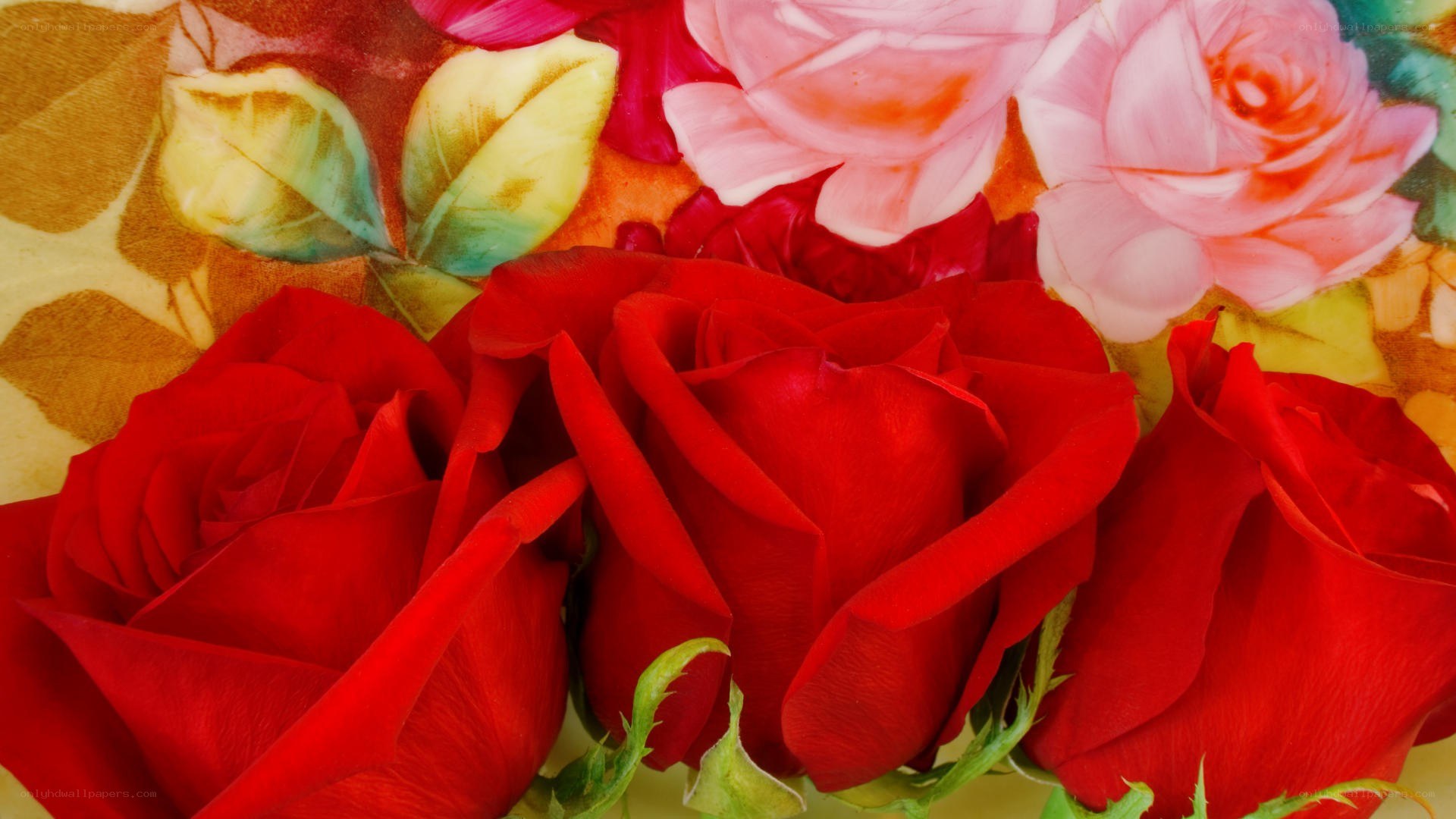 Red and pink roses in a floral pattern