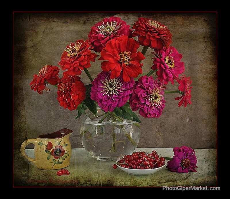 Red and Pink Zinnias