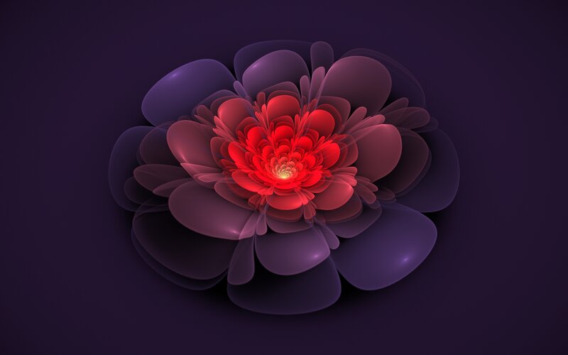 Red and Purple Flower — Dramatic